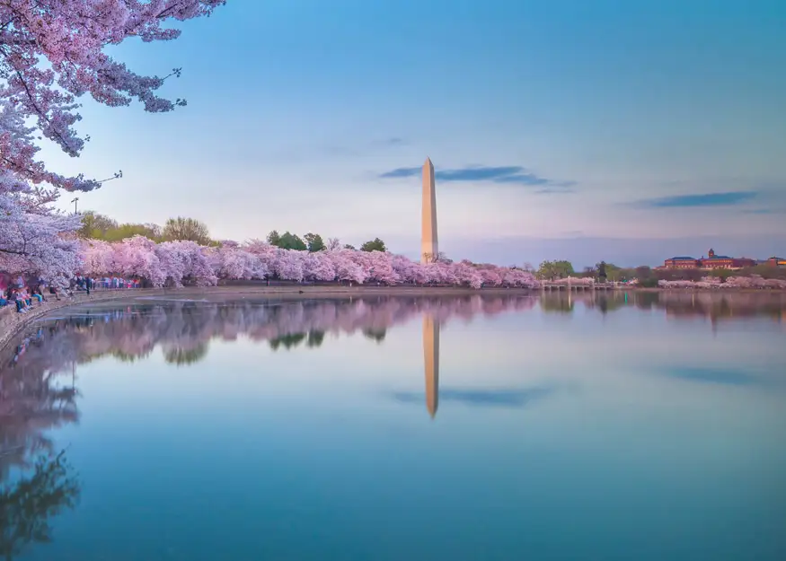 WASHINGTON DC