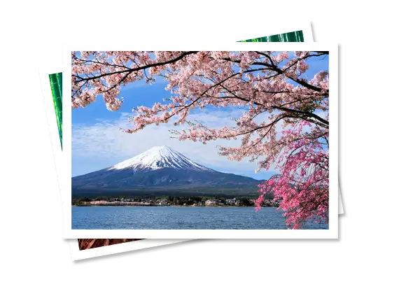 viaggi organizzati giappone